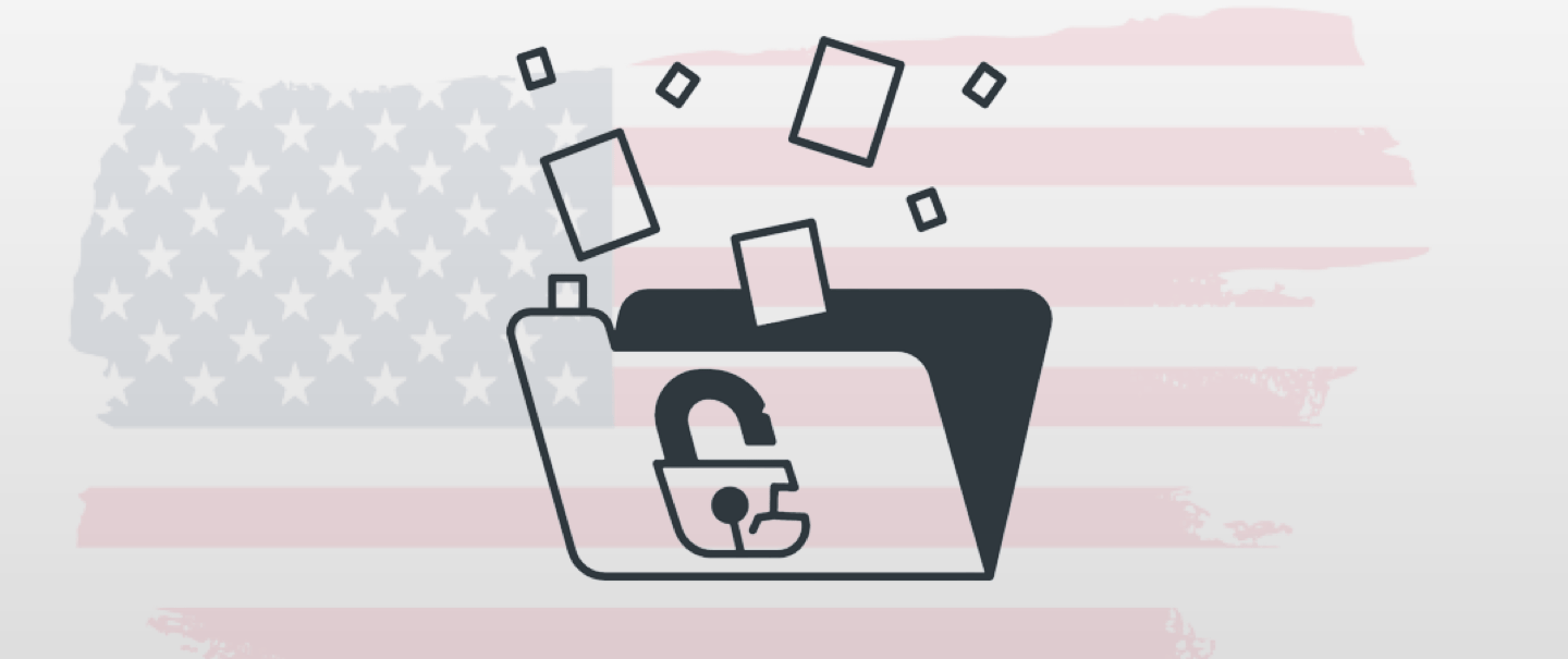 Navigating Data Privacy in the US